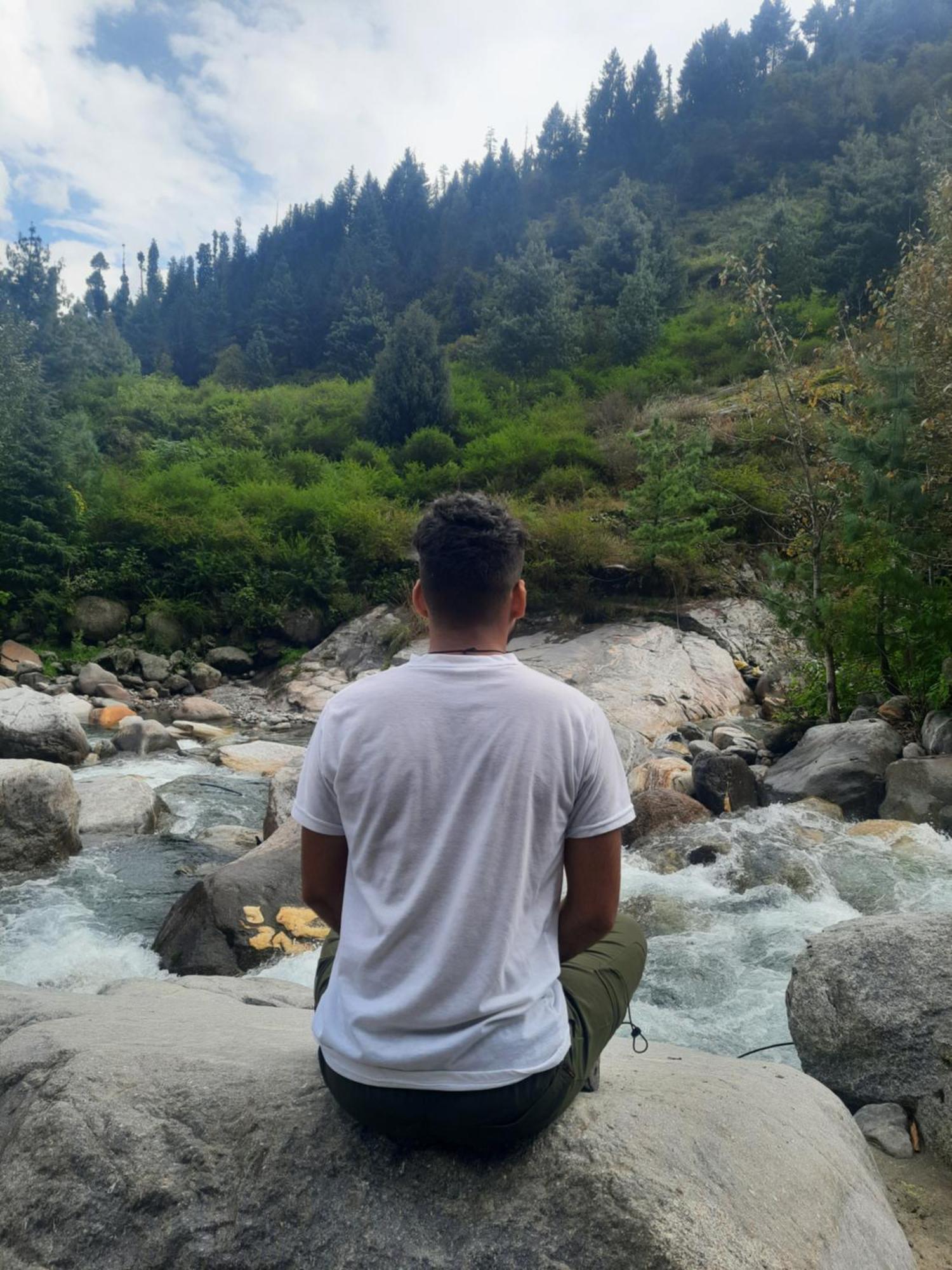 Apple Flower By Mall Road Hotel Manali (Himachal Pradesh)